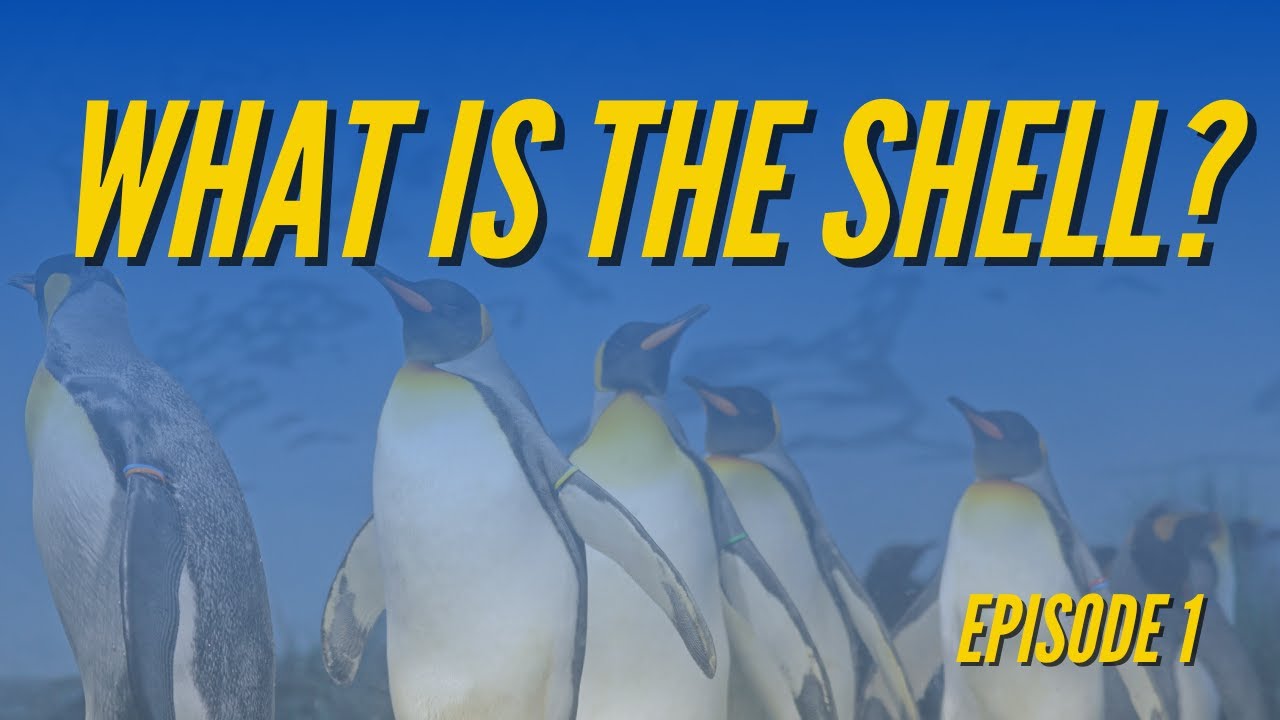 Episode 1 - What is Shell?